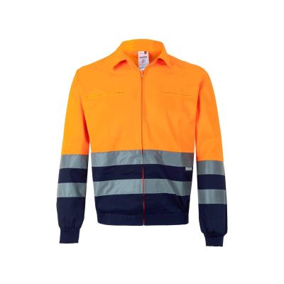 Cazadora bicolor - 153