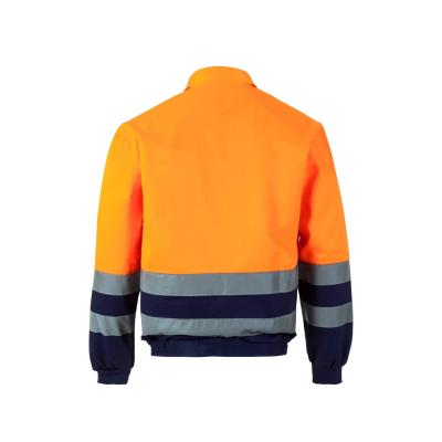 Cazadora bicolor - 153