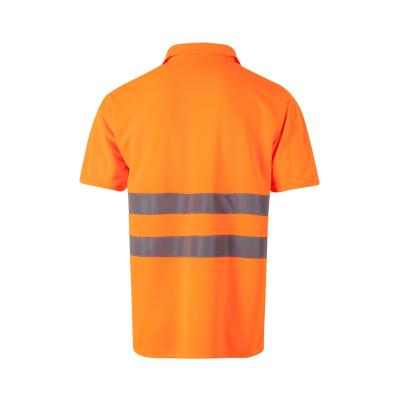 Polo manga corta - 172