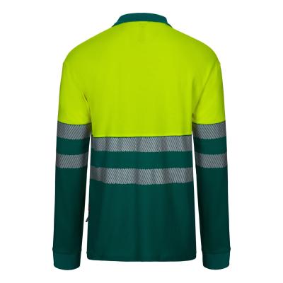 Polo algodón bicolor manga larga cinta segmentada - 305525