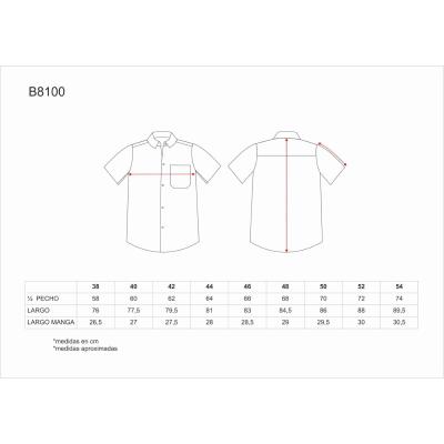 CAMISA - B8100