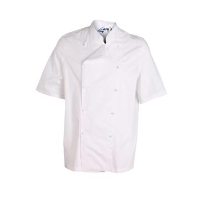 B/FORRADO M/C 100% ALGODON