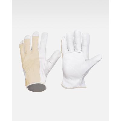 GUANTE - G1501