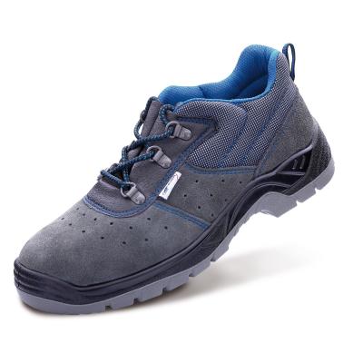 od. "CORPIO". Zapato piel microfibra serraje perforada en 1P con suela de Poliuretano doble densidad. 36