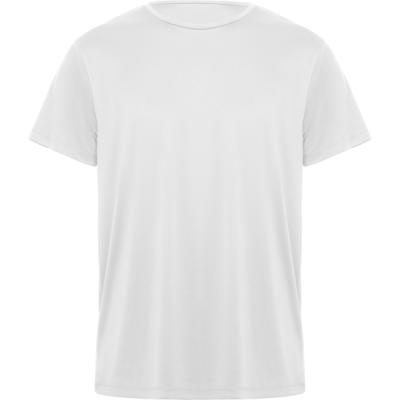 CAMISETA DAYTONA